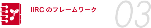 4.IIRCのフレームワーク